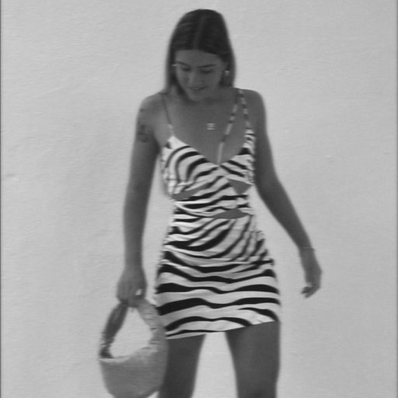 Zara Dresses Nwt Zara Size Xs Cut Out Animal Print Linen Blend Mini